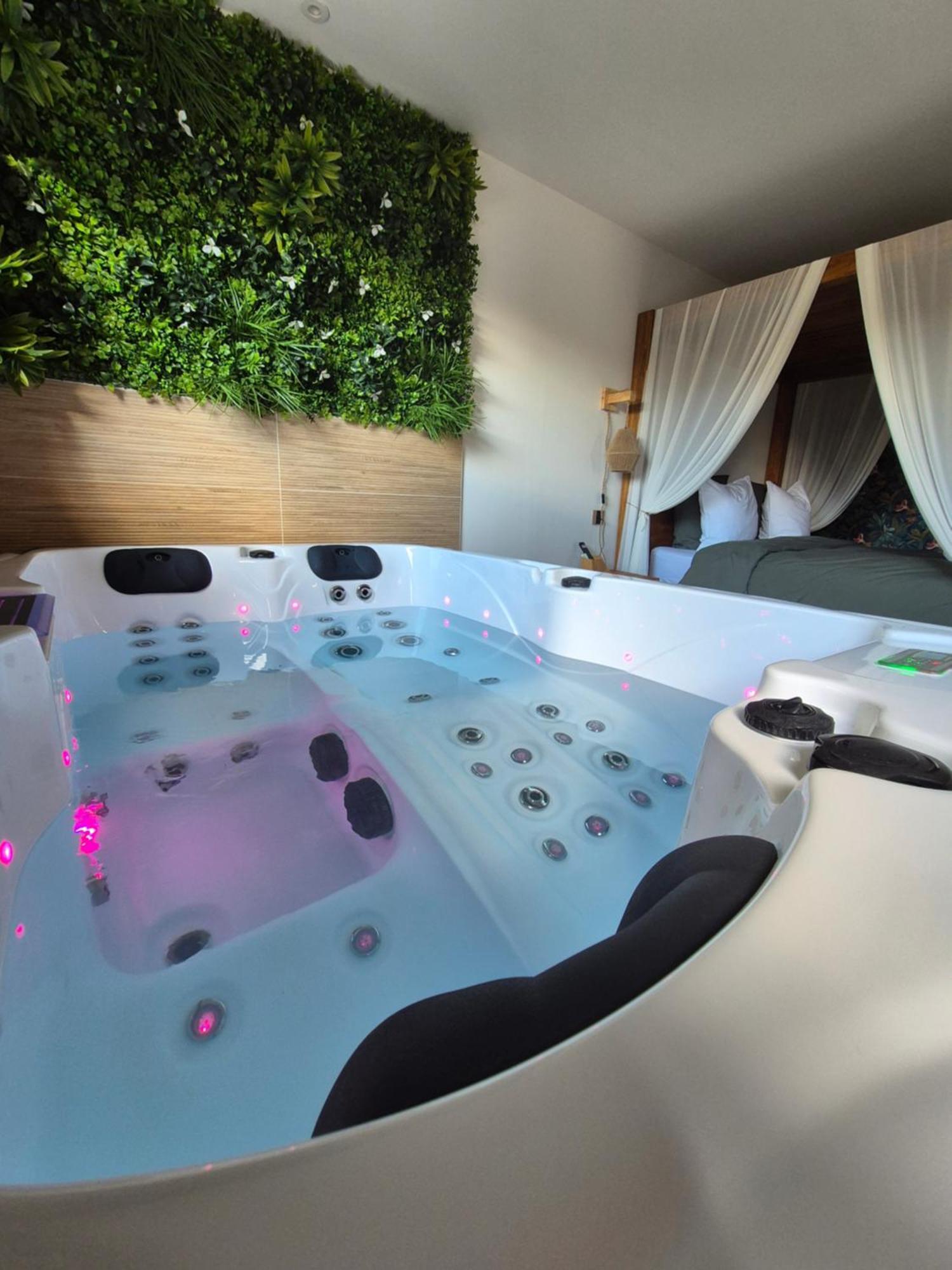 Le Cocoon - Jacuzzi, Sauna Et Piscine Privee Карпентра Екстериор снимка